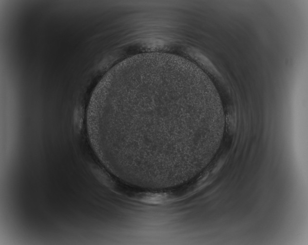 X0000087580458200705251844
