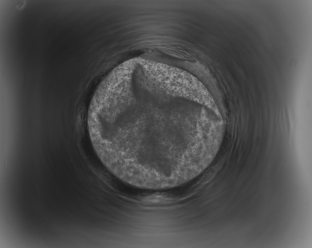 X0000087580460200705251844