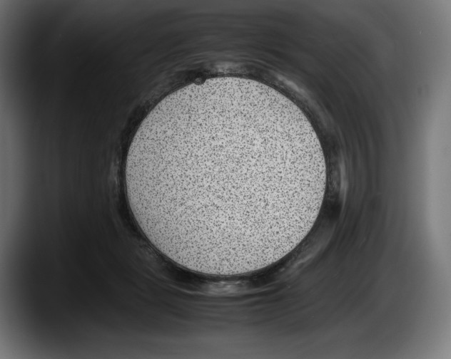 X0000087580461200705251844
