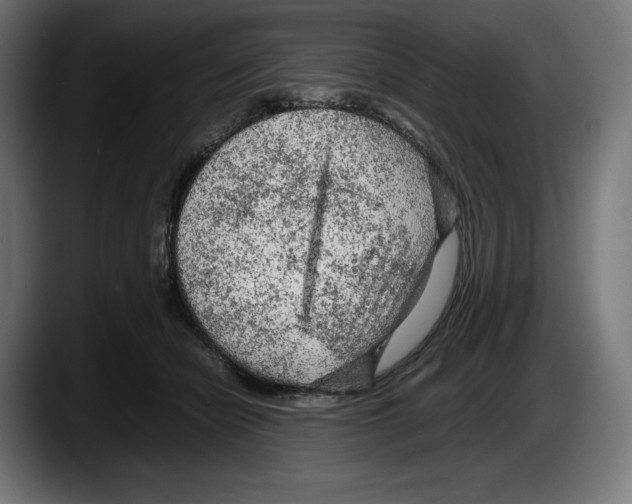 X0000087580462200705251844
