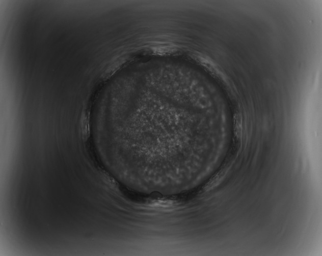 X0000087580471200705251845