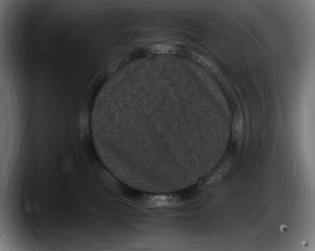X0000087580473200705251845