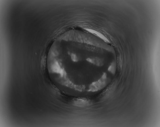 X0000087580475200705251845