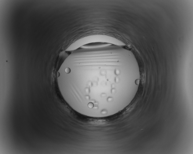 X0000087580476200705251845