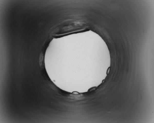 X0000087580480200705251845