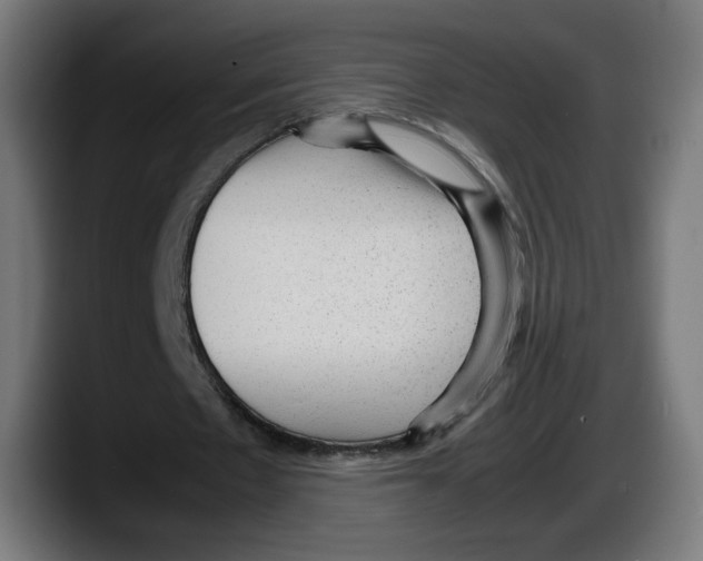 X0000087580481200705251844