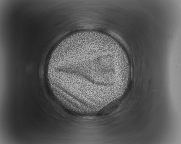 X0000087580483200705251844