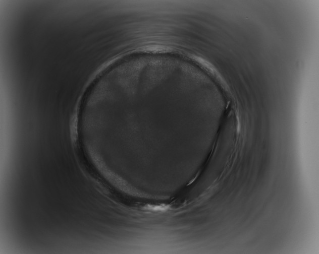 X0000087580484200705251844