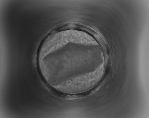 X0000087580485200705251844