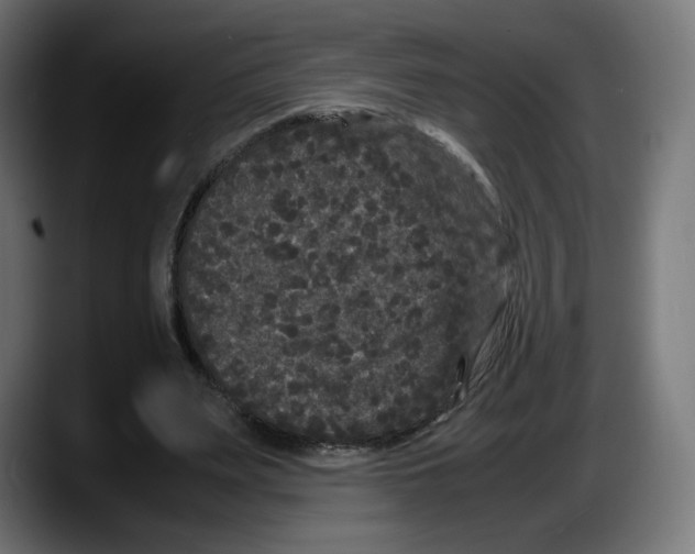 X0000087580487200705251844