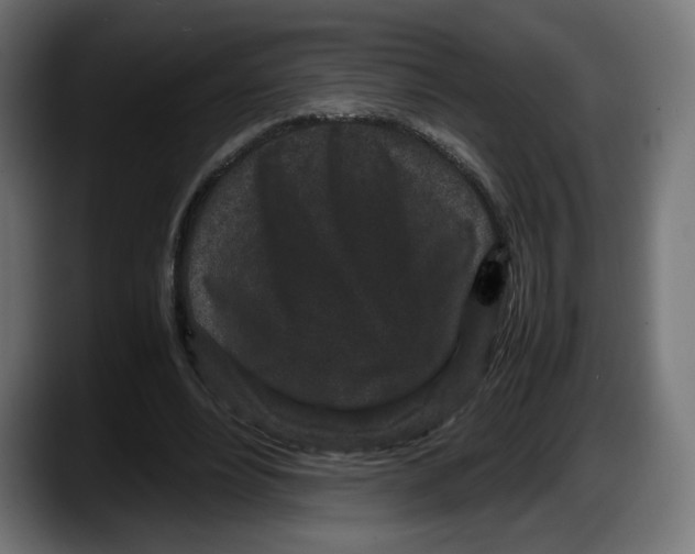 X0000087580488200705251844