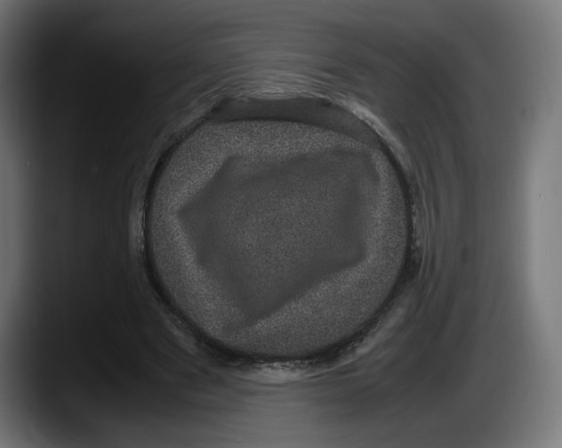 X0000087580489200705251844