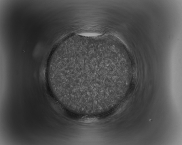 X0000087580491200705251844