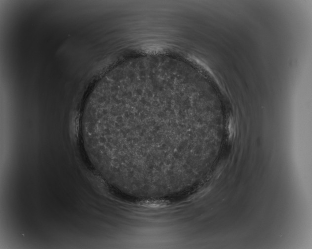 X0000087580495200705251844