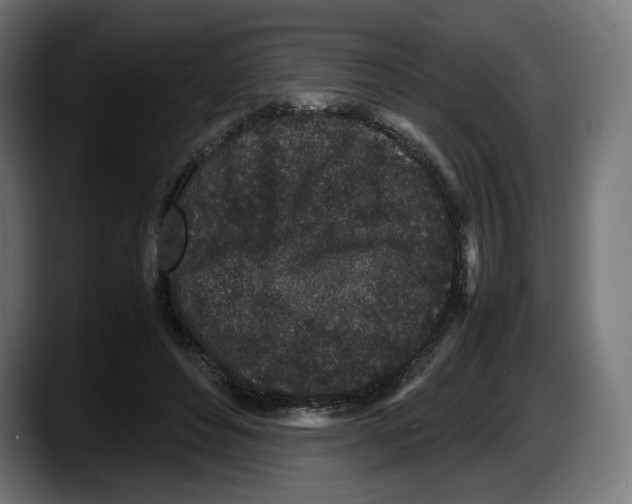 X0000087580496200705251844