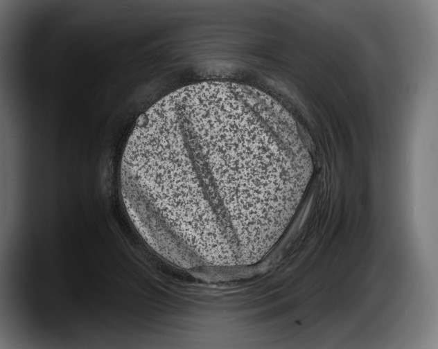 X0000087580498200705251844