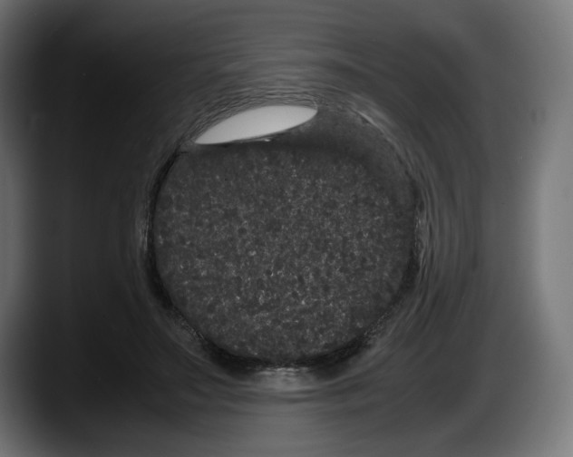 X0000087580499200705251844