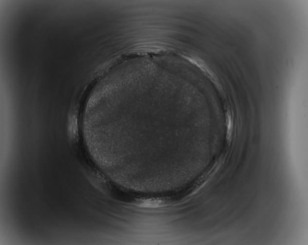 X0000087580500200705251844