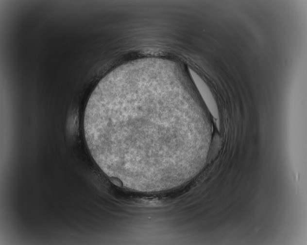 X0000087580502200705251844