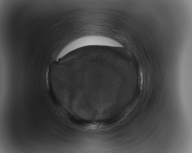 X0000087580504200705251844