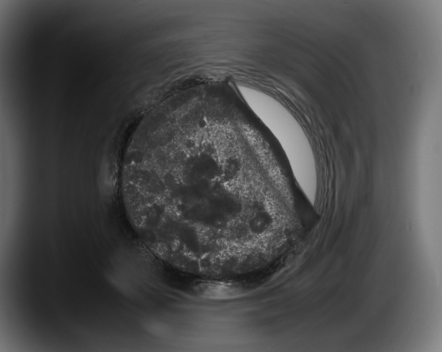 X0000087580507200705251844
