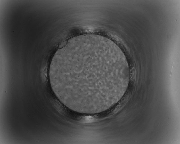 X0000087580509200705251844