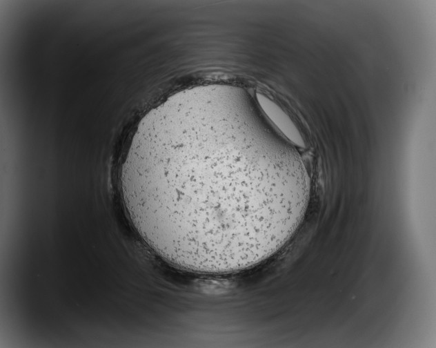 X0000087580512200705251844
