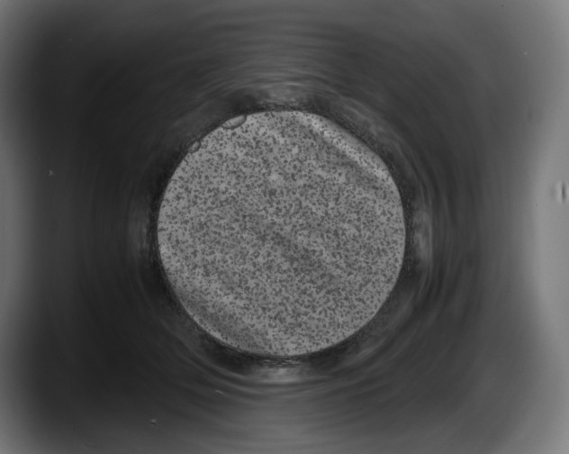 X0000087580514200705251844