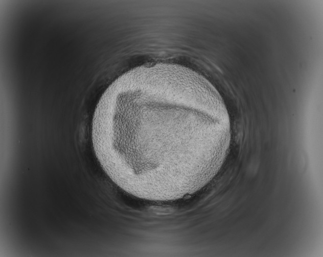 X0000087580515200705251844