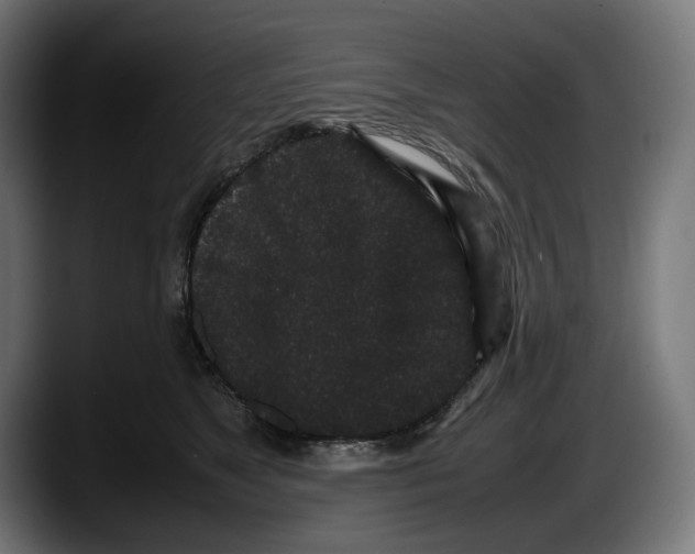 X0000087580517200705251844
