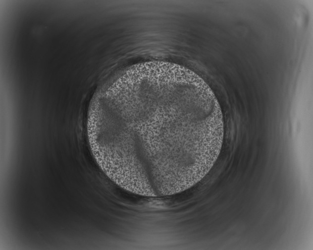 X0000087580518200705251844