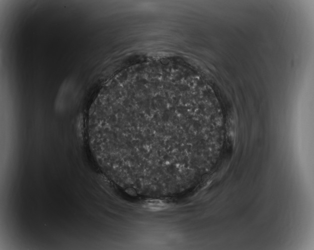 X0000087580519200705251844