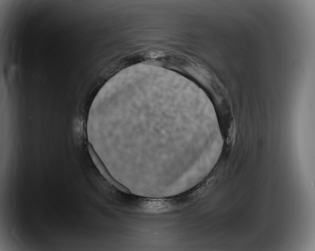 X0000087580521200705251844
