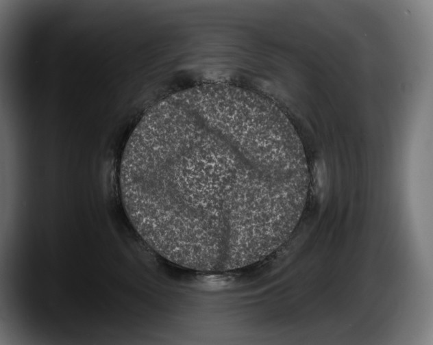 X0000087580522200705251844