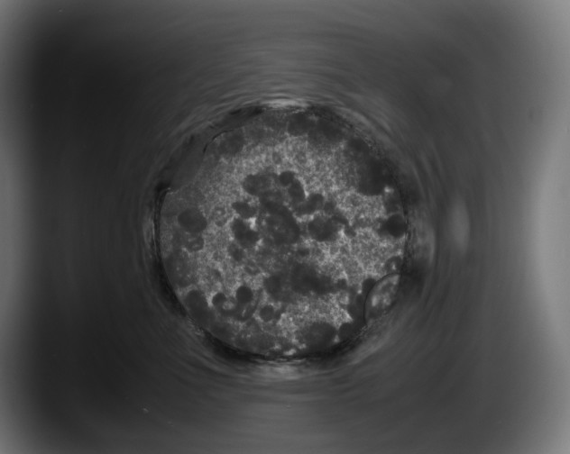 X0000087580523200705251844