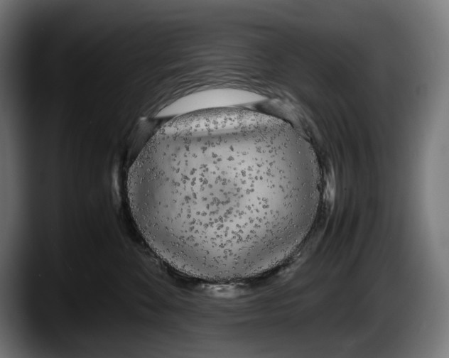 X0000087580524200705251844