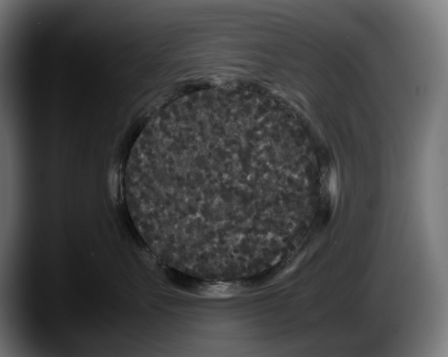 X0000087580527200705251843