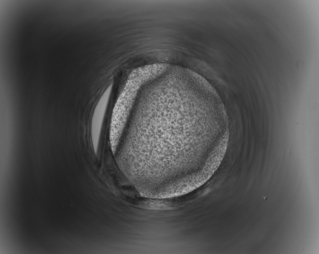 X0000087580528200705251843
