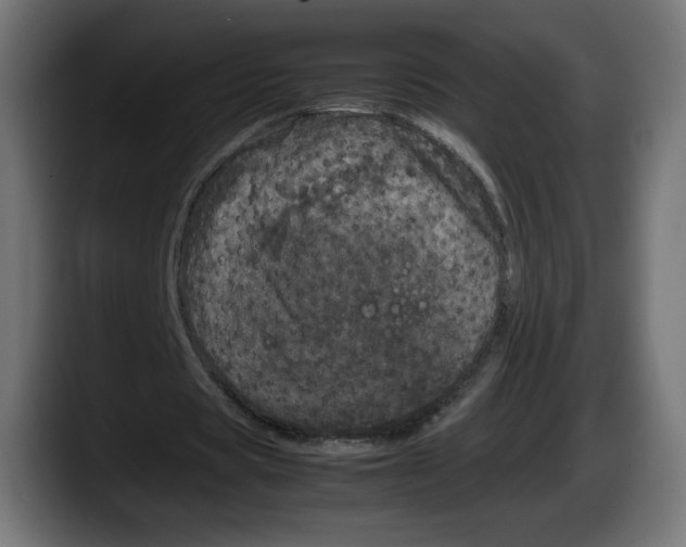 X0000087580529200705251843