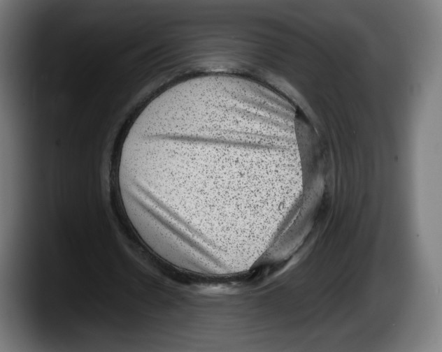 X0000087580530200705251843