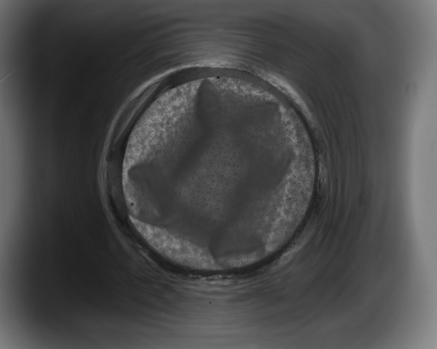 X0000087580532200705251843