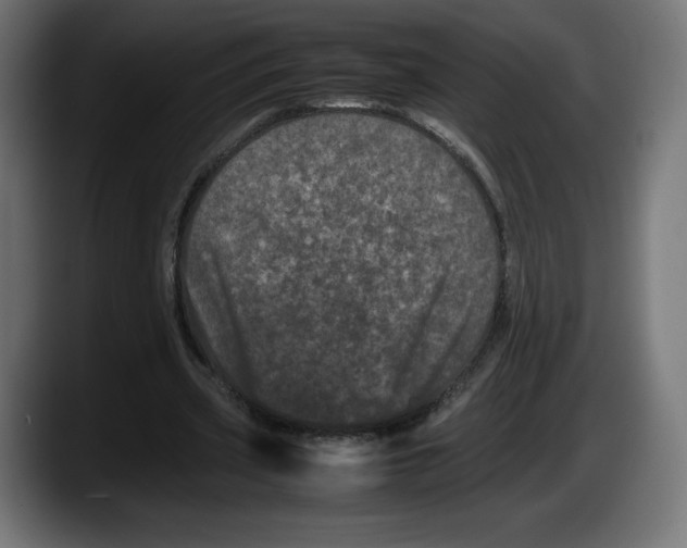 X0000087580533200705251843