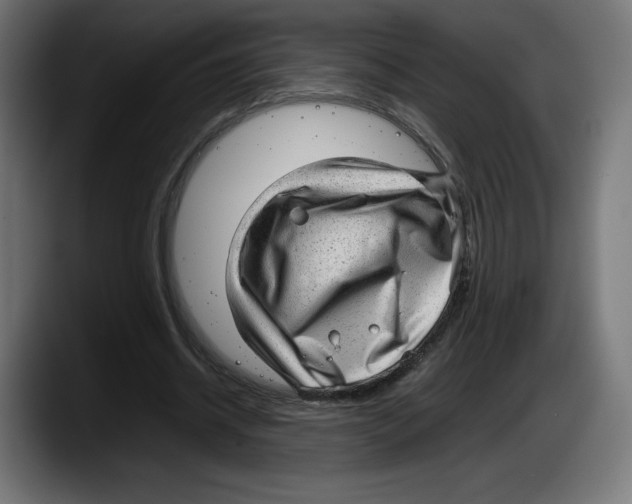 X0000087580534200705251843