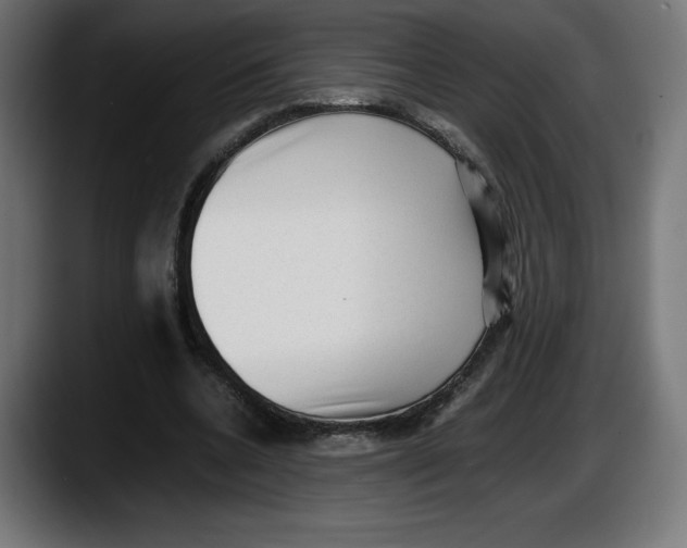 X0000087580536200705251843