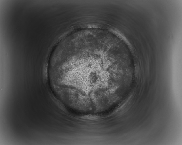 X0000087580537200705251843