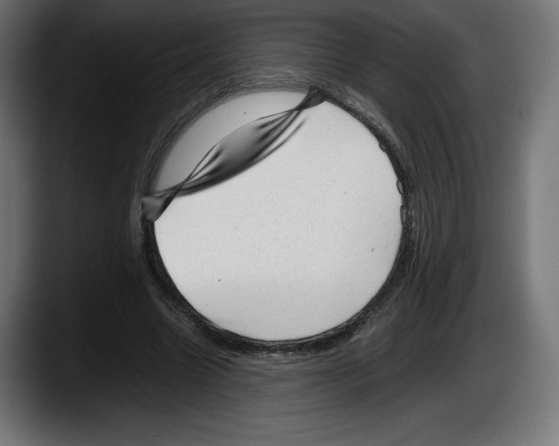 X0000087580538200705251843