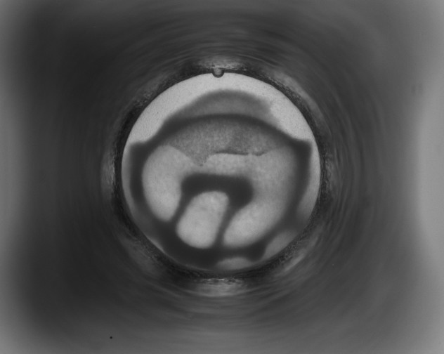 X0000087580541200705251843
