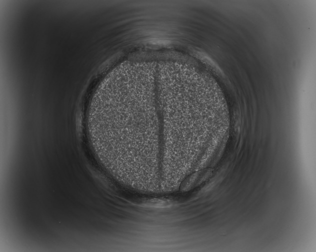 X0000087580542200705251843