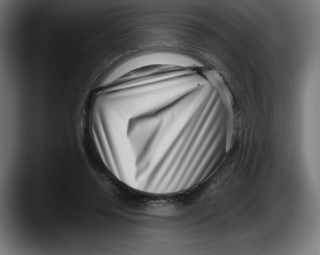X0000087580544200705251843