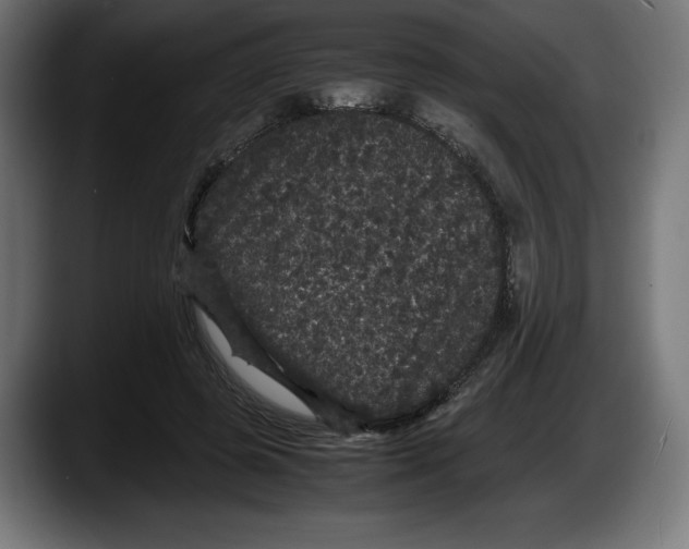 X0000087580545200705251843
